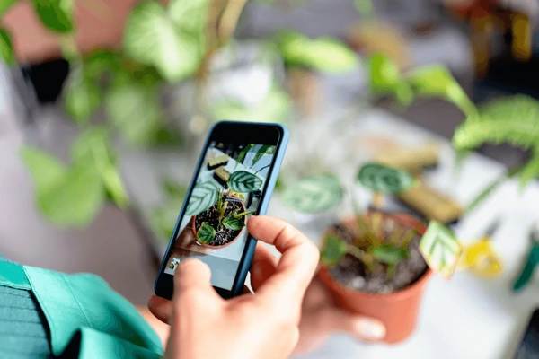 AI-Based Crop Monitoring