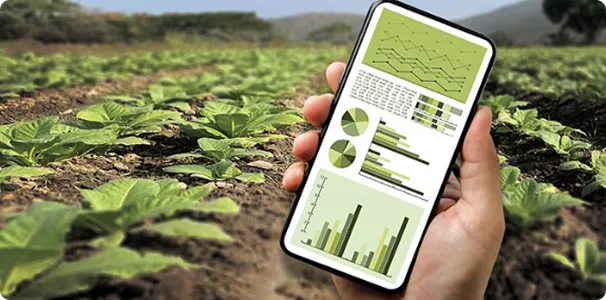 AI & Remote Crop Monitoring