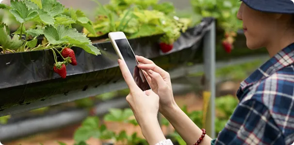 Mobile Agriculture Apps