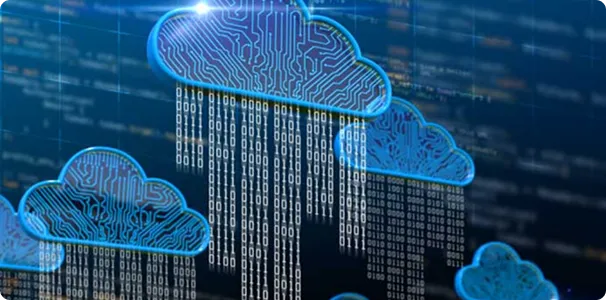 Multilingual & Accessibility Support