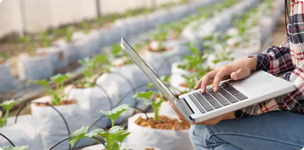 Custom Farm Management Software