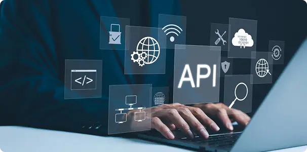 GDS / API Integration