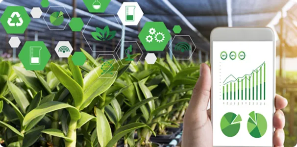 Livestock Management Systems