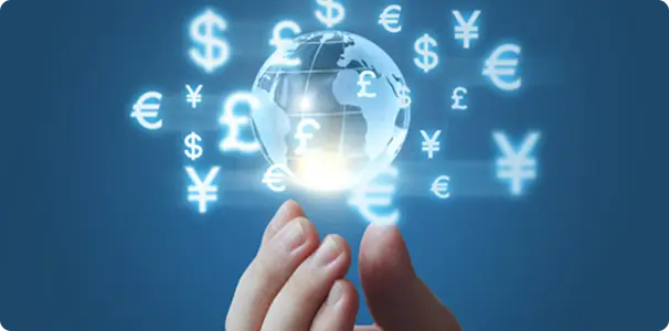 Multi-currency & Language Support