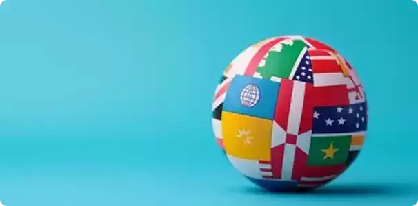 multi-language-accessibility-support